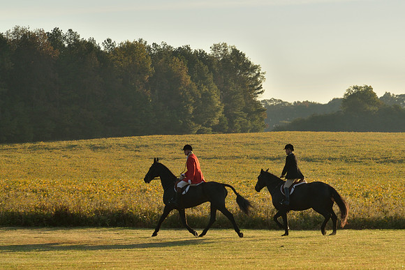 Shakerag opening Hunt 2015