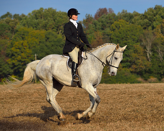 Shakerag opening Hunt 2015