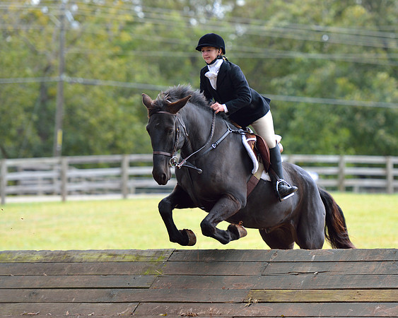 Belle Meade Opening Hunt 2014