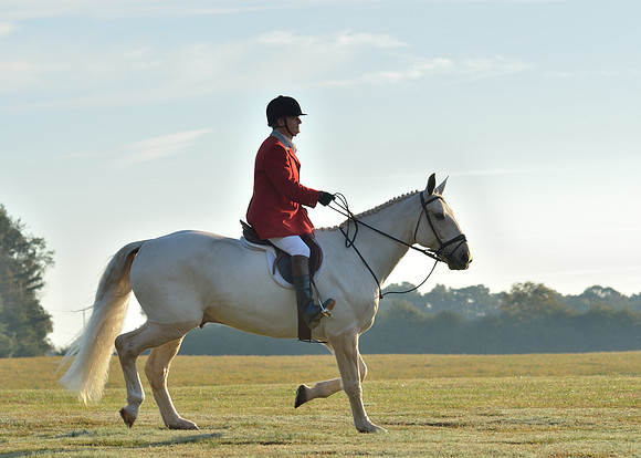 Shakerag opening Hunt 2015