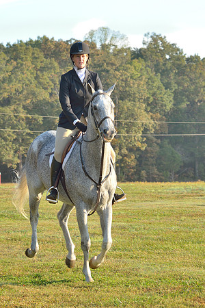 Shakerag opening Hunt 2015