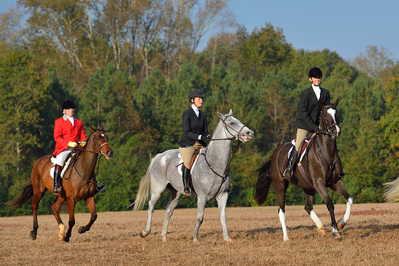 Shakerag opening Hunt 2015