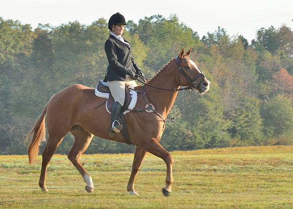 Shakerag opening Hunt 2015