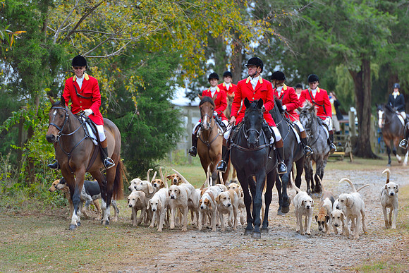 Belle Meade Opening Hunt 2014