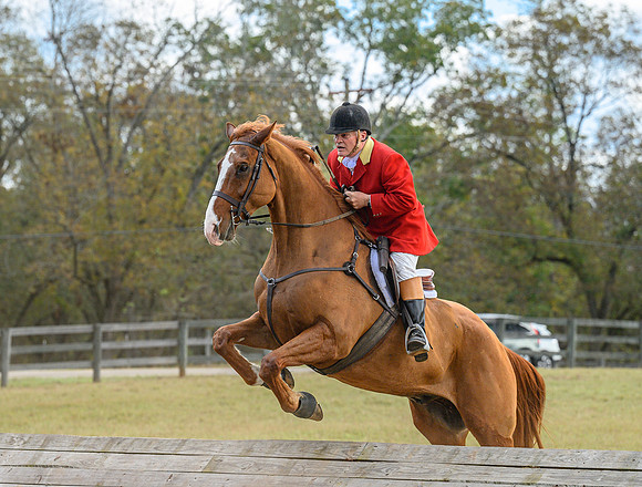 Belle Meade_20241102_420480