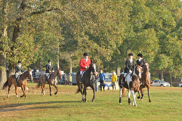 Shakerag opening Hunt 2015