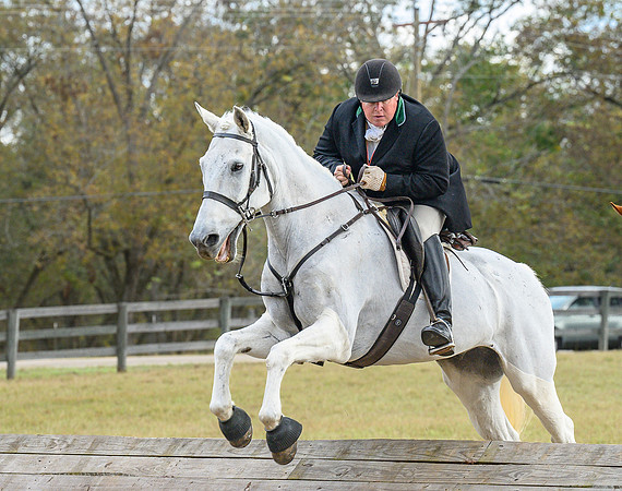 Belle Meade_20241102_421932