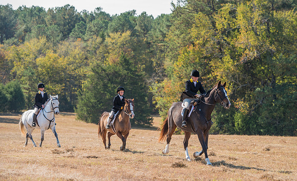 Belle Meade_228092_11-5-2016