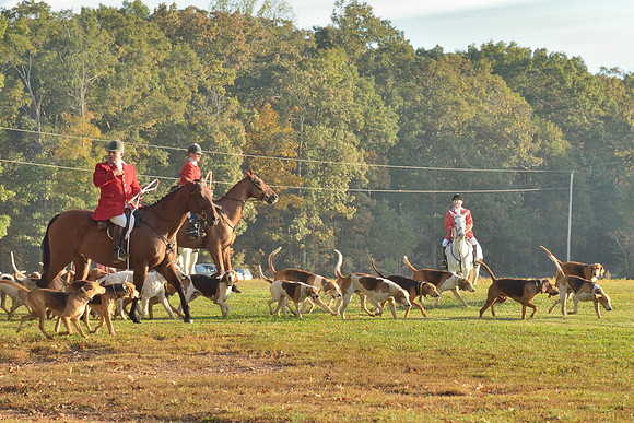 Shakerag opening Hunt 2015