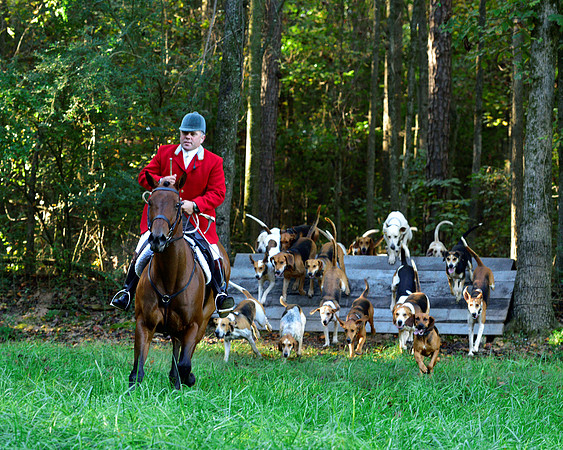 Shakerag Opening Hunt 2014
