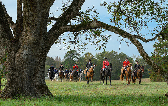Belle Meade_20241102_420385
