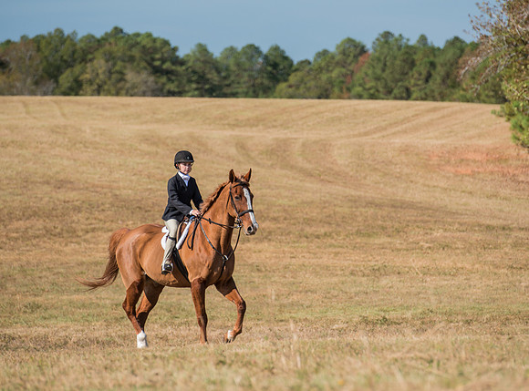 Belle Meade_227986_11-5-2016
