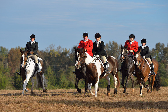 Shakerag opening Hunt 2015