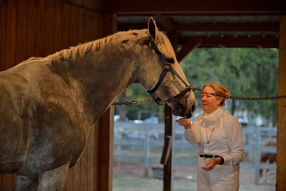 Belle Meade Fox Hunt - Opening Meet 2013