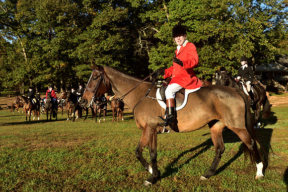 Shakerag Opening Hunt 2014