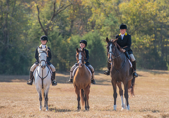 Belle Meade_228091_11-5-2016