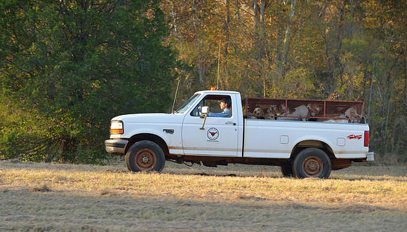 Belle Meade Fox Hunt - Opening Meet 2013