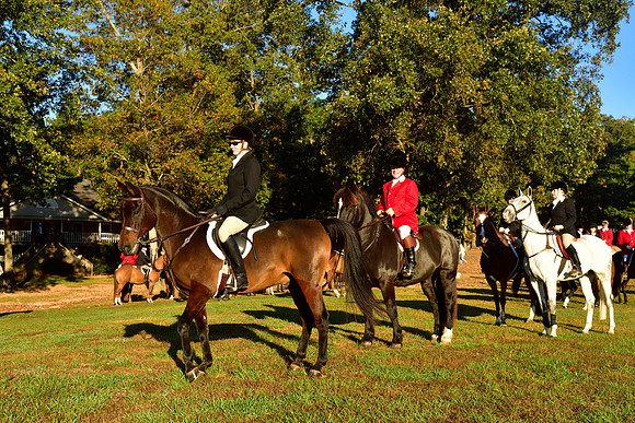 Shakerag Opening Hunt 2014