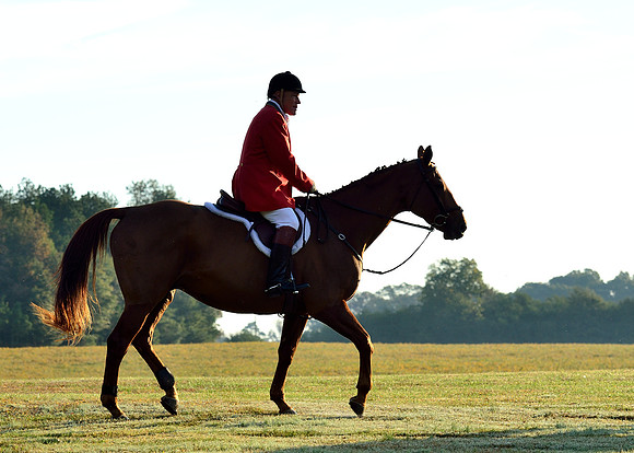 Shakerag opening Hunt 2015