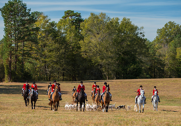 Belle Meade_228033_11-5-2016