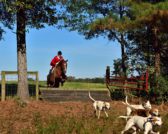 Shakerag Opening Hunt 2014