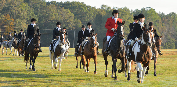 Shakerag opening Hunt 2015