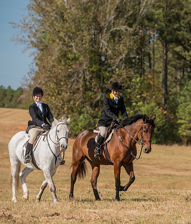 Belle Meade_227974_11-5-2016
