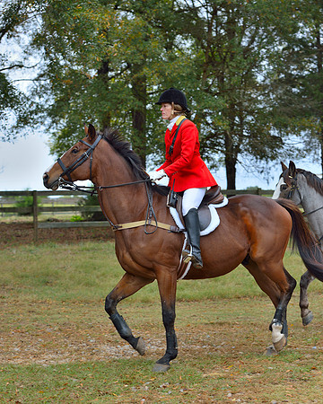 Belle Meade Opening Hunt 2014