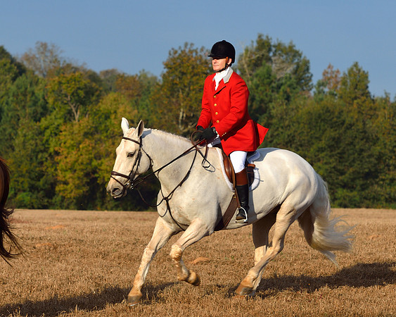 Shakerag opening Hunt 2015
