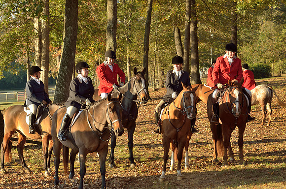 Shakerag opening Hunt 2015