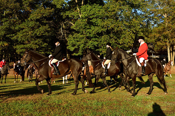 Shakerag Opening Hunt 2014