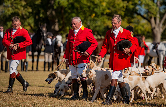 Belle Meade_228190_11-5-2016