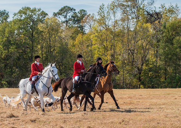 Belle Meade_228107_11-5-2016