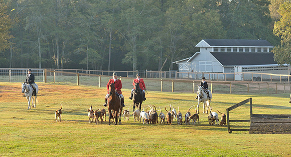 Shakerag opening Hunt 2015