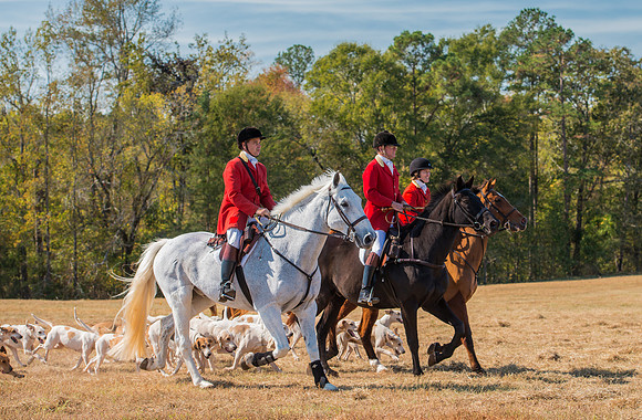 Belle Meade_228108_11-5-2016