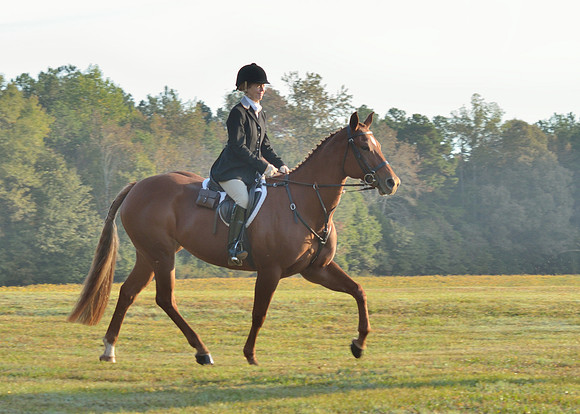 Shakerag opening Hunt 2015