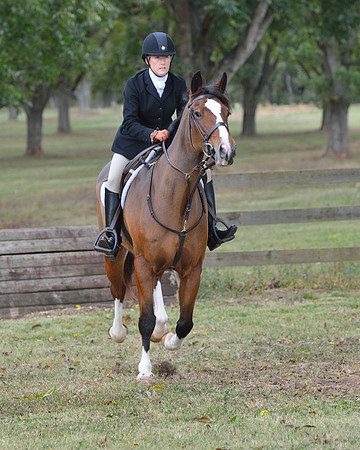 Belle Meade Opening Hunt 2014