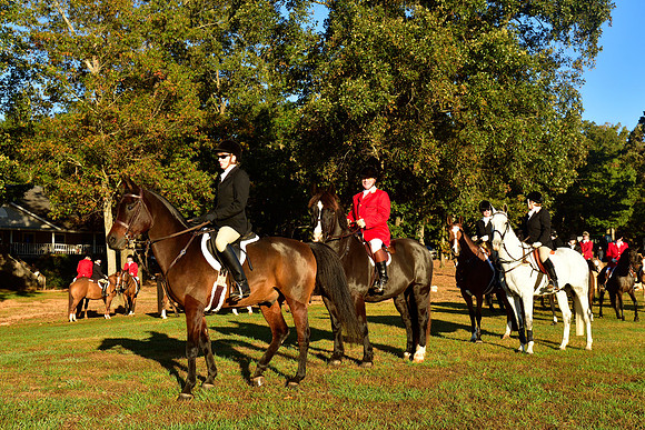 Shakerag Opening Hunt 2014