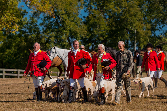 Belle Meade_228167_11-5-2016