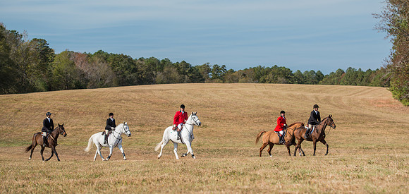 Belle Meade_228013_11-5-2016