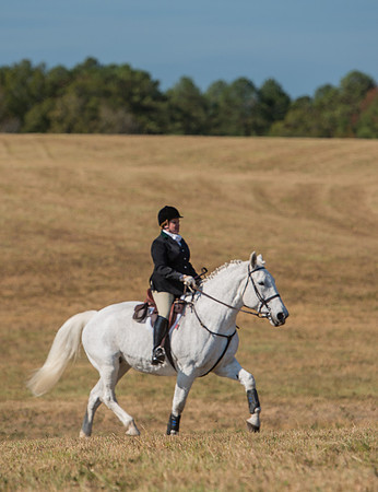 Belle Meade_228016_11-5-2016