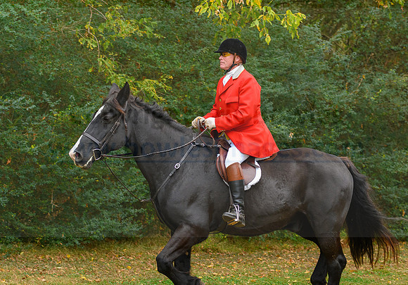 Shakerag_20221029_373477