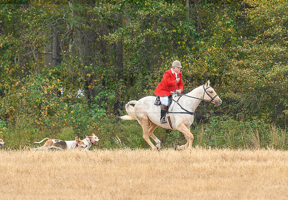 Shakerag_20221029_373612