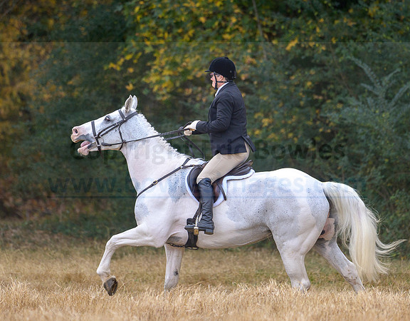 Shakerag_20221029_372189