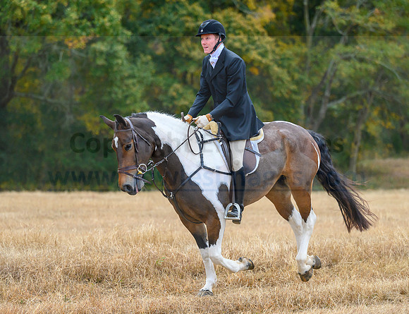 Shakerag_20221029_372406