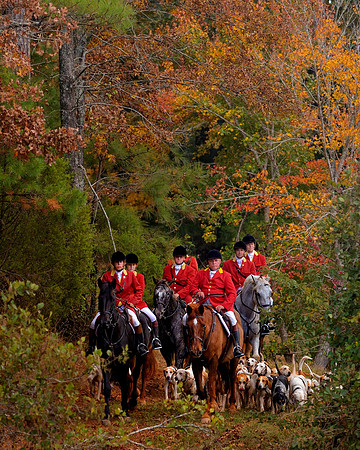 Belle Meade Fox Hunt - Opening Meet 2013