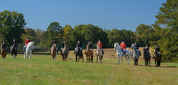 Belle Meade_20251101_449153