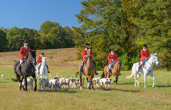 Belle Meade_20251101_449263