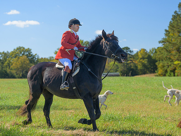 Belle Meade_20251101_449290