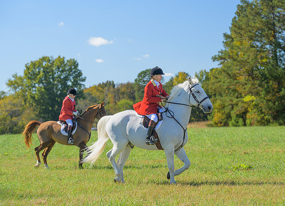 Belle Meade_20251101_449292